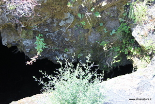 Grotta Forcato